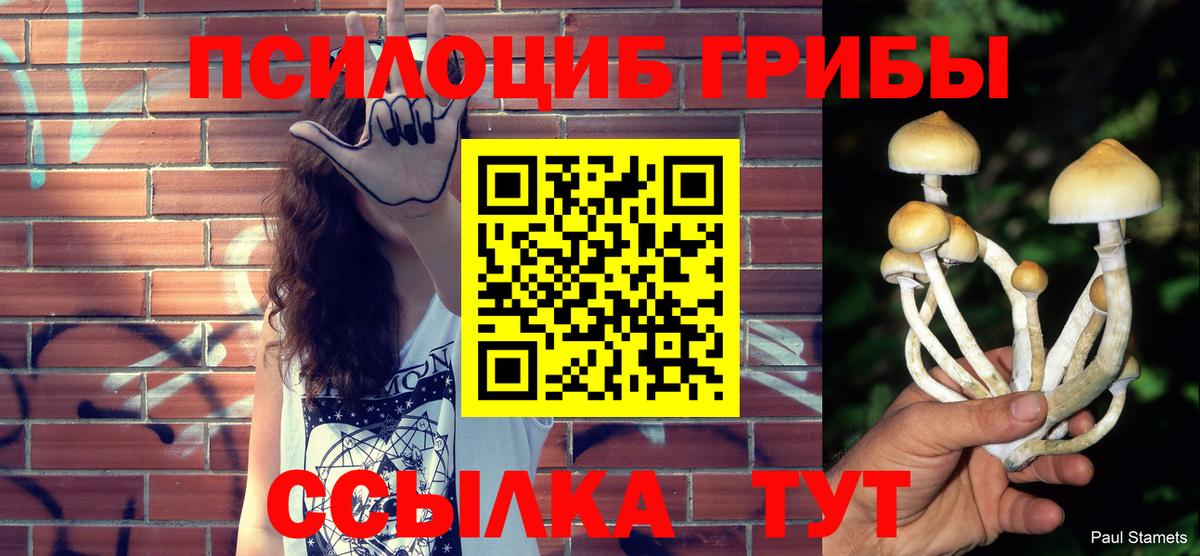 Галлюциногенные грибы Magic Shrooms  Вход с VPN  Сальск  Псилоцибиновые грибы мухоморы 