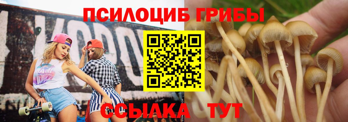 Галлюциногенные грибы прущие грибы Сальск